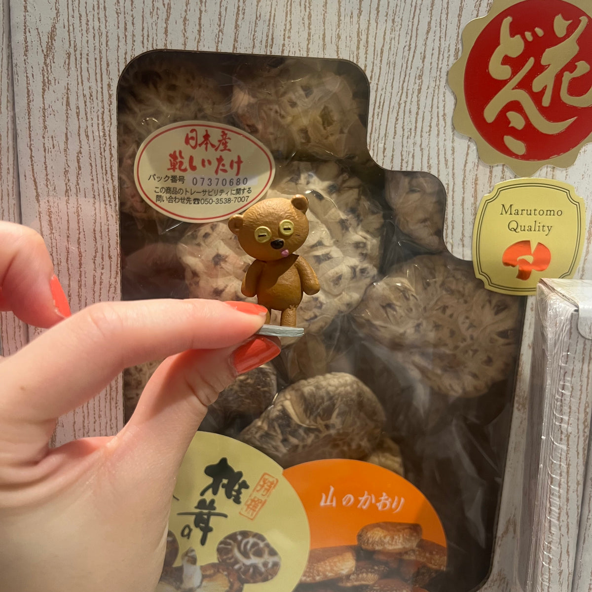 B439s「春日大社鹿角香合」木遊軒一丘造一司作　共袋(一丘)共箱(一丘一司銘) 日本九州大分縣原木天白菇禮盒裝– UK Dried Seafood Ltd