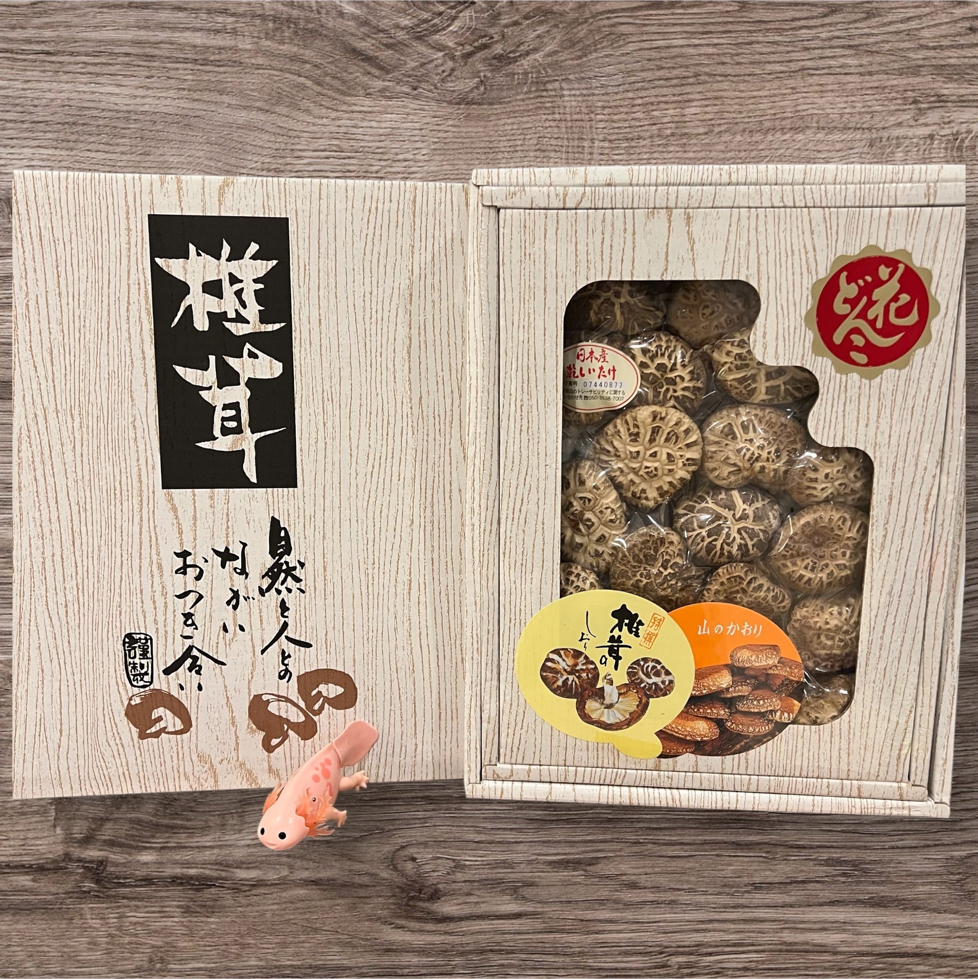 タグ付/新品【LONDON TRADITION】Mushroom A35 DT Japanese Kyushu Oita Prefecture log Tianbai mushroom gift box – UK