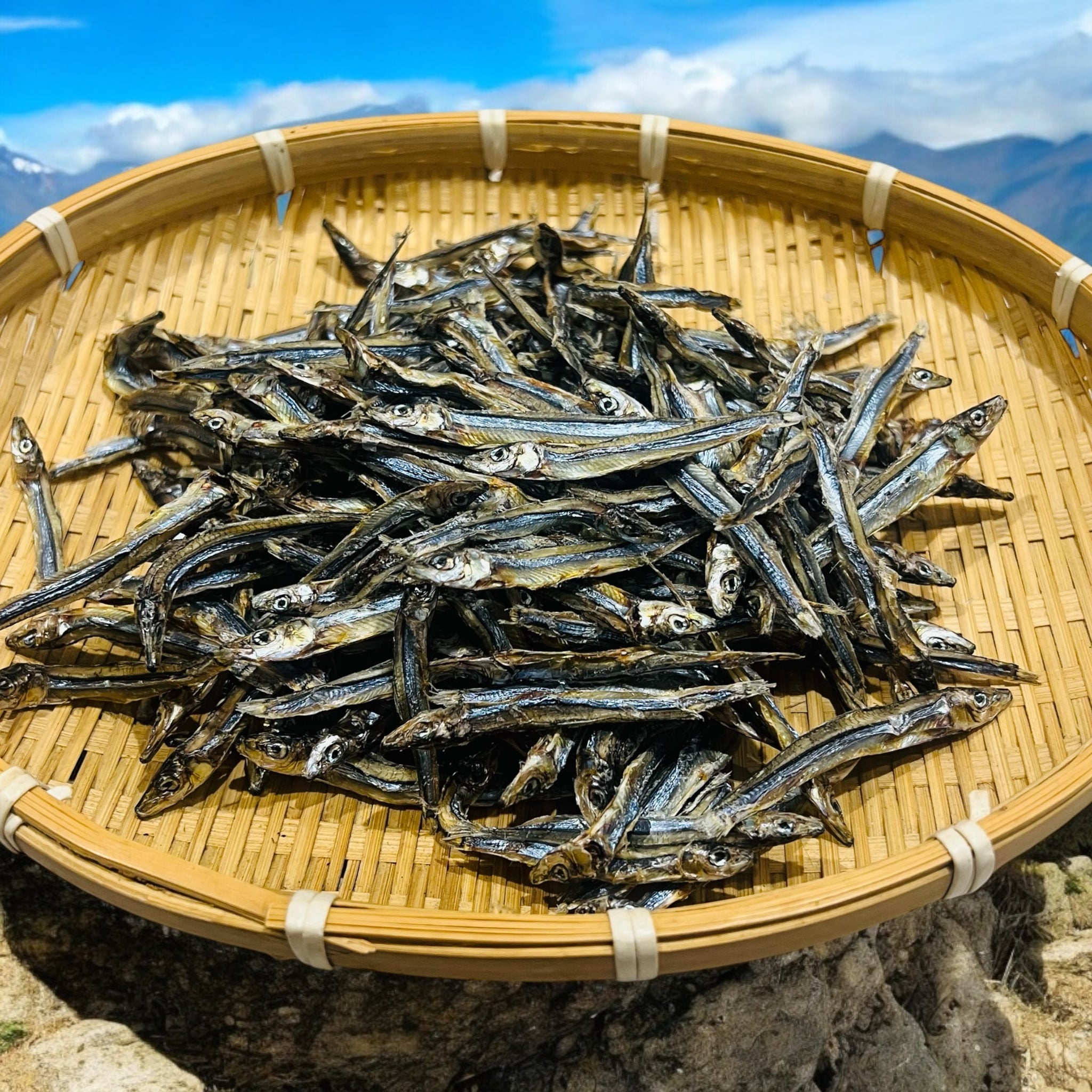日本公魚乾 – UK Dried Seafood Ltd