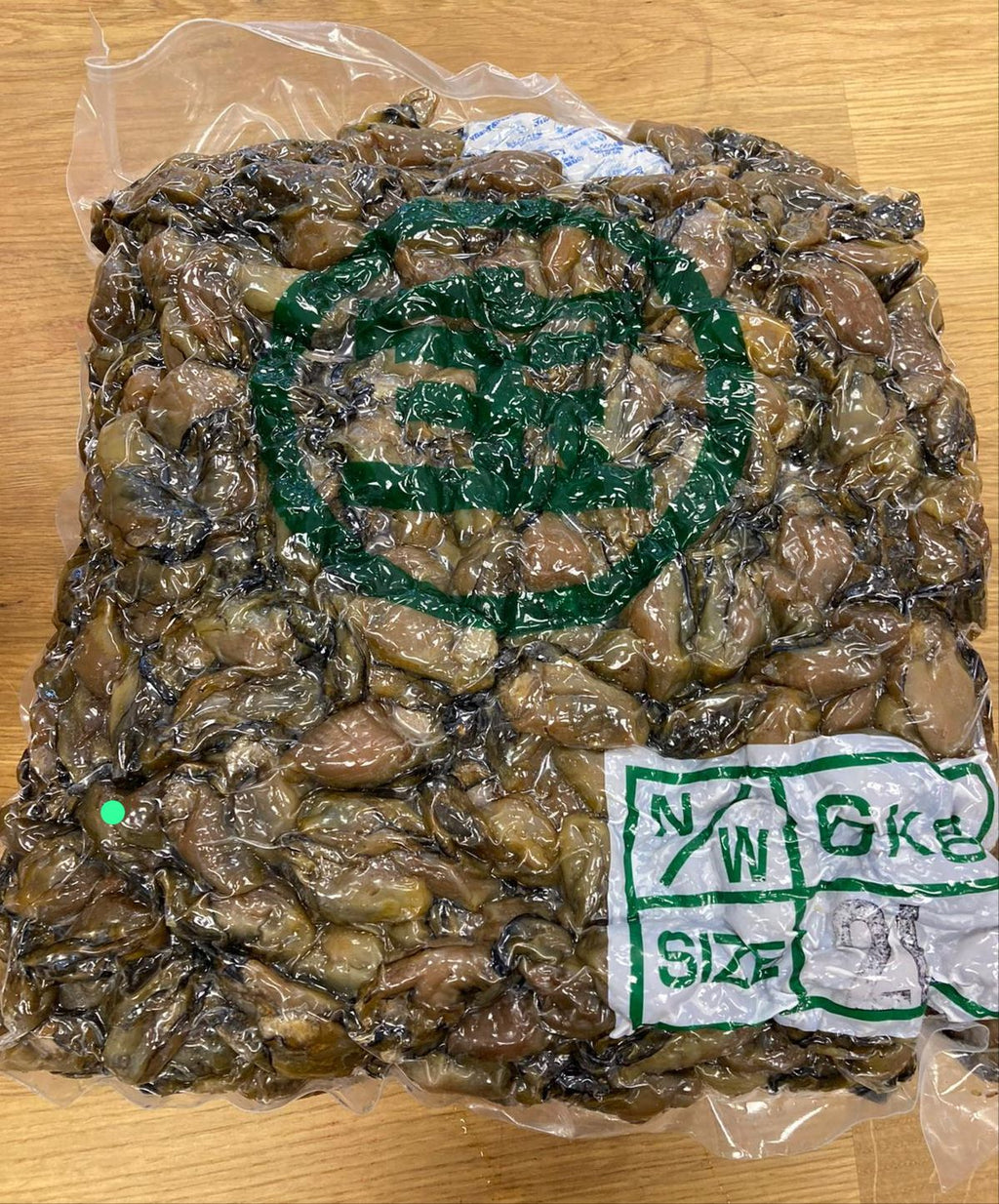 日本蠔豉 (LL）